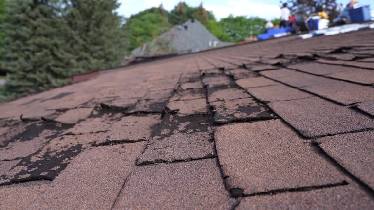 Best Wood Shake Roofing  in Hillcrest, CA